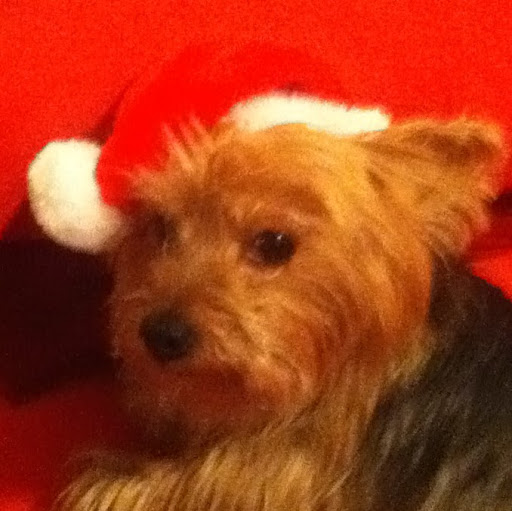 Sunshine Robinson Photo 23