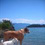 Russell Mack Photo 41