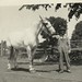 Henry Rowe Photo 16