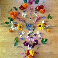 Carla Stephenson Photo 5