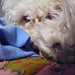 Vicky Ruiz Photo 32