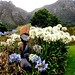 Thomas Leger Photo 29