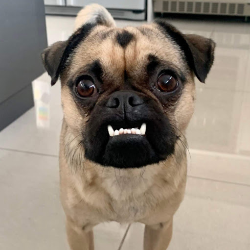 Marc Williams Photo 38 Marc Williams Photo 38