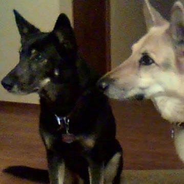 Michelle Albers Photo 6