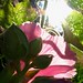Sharon Ray Photo 34