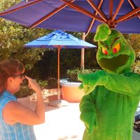 Debbie Plumb Photo 21