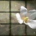 David Utter Photo 25