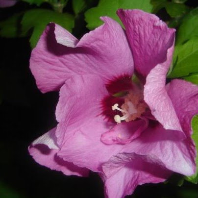 Heather Curry Photo 6