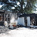 Cynthia Elkins Photo 16