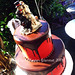 Rachel Topper Photo 7