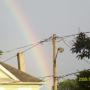 Shantea Robinson Photo 6