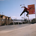 Chris Healey Photo 18