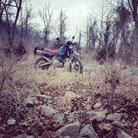 Michael Anello Photo 30