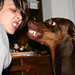 Lauren Riley Photo 29
