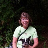 Jeannette Gardner Photo 25