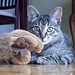 Jerry Frederick Photo 15