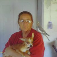 Nancy Elrod Photo 3