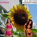 Amy Weber Photo 42