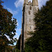Robert Newland Photo 18