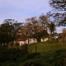 Mark Middleton Photo 42