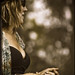 Lucinda Harris Photo 23