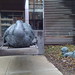 Shawn Jarvis Photo 12
