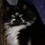 Samantha Fudge Photo 4