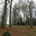 Edward Forest Photo 13