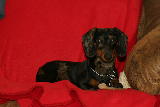 Nancy Tanner Photo 22