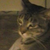 Linda Reber Photo 17