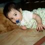 Debra Buckner Photo 14