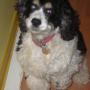 Laura Greenberg Photo 11
