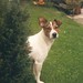 Priscilla Murphy Photo 45