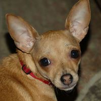 Jeanette Cline Photo 8