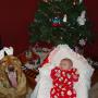 Steve Duffy Photo 24