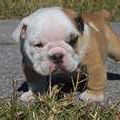 Amy Stubblefield Photo 11