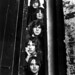 Dave Haskell Photo 11