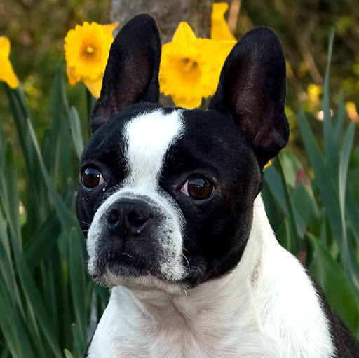 Mark Olivas Photo 22