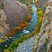 Randall Crook Photo 16