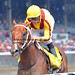 Amy Blasi Photo 6