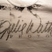 Julie Watts Photo 42