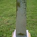 Charles Nesbitt Photo 34