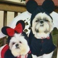 Terri Sharpe Photo 18