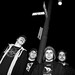 Aaron Salo Photo 8