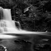 Sheldon Reynolds Photo 24