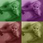 Tiffany Cash Photo 30
