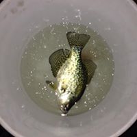 Jason Florek Photo 3