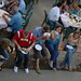 Ed Nicolas Photo 10