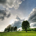 Vincent Hicks Photo 19