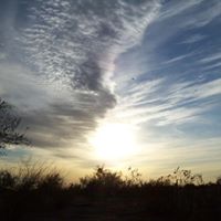 Gail Kinney Photo 25